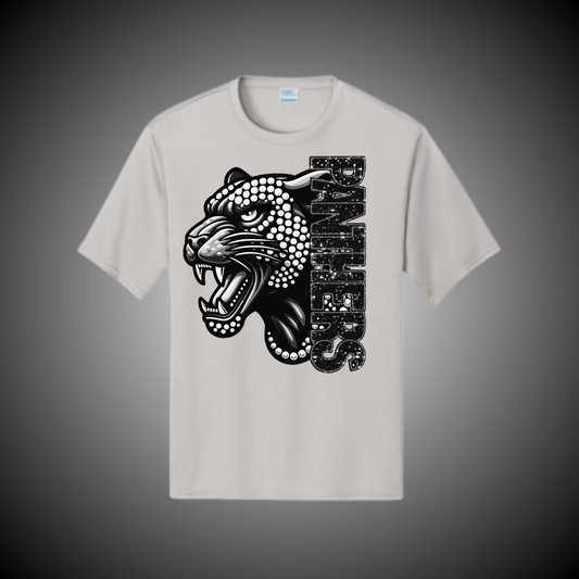 Panthers 17