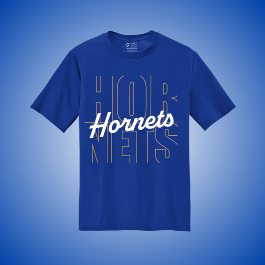 Hornets 43