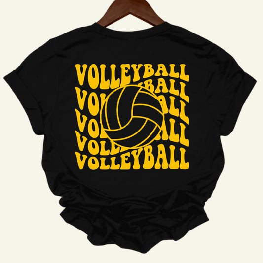 LP Volleyball