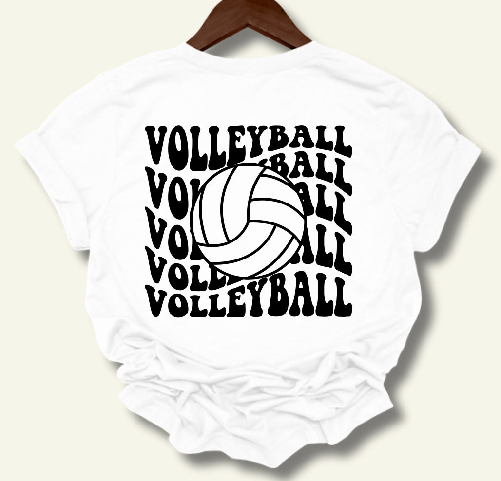 LP Volleyball